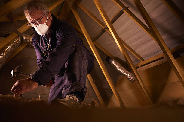 Best Insulation Contractors for Homes  in Newtown Grant, PA